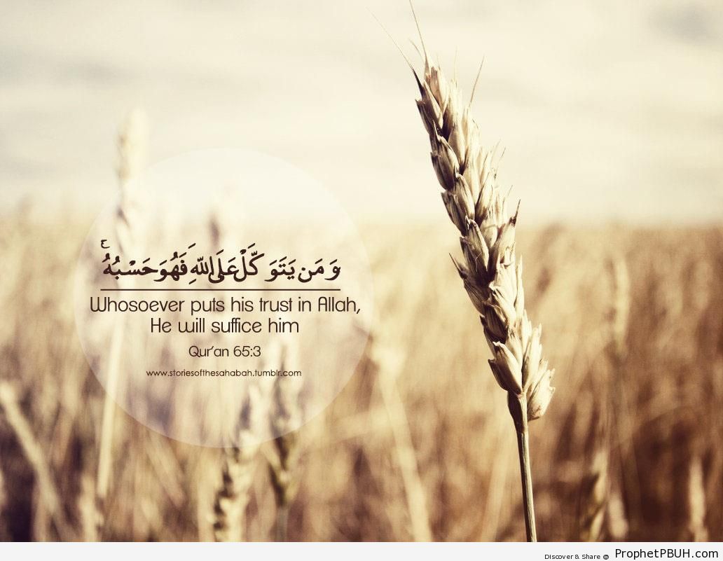 Free Islamic Quotes Wallpaper for Desktop